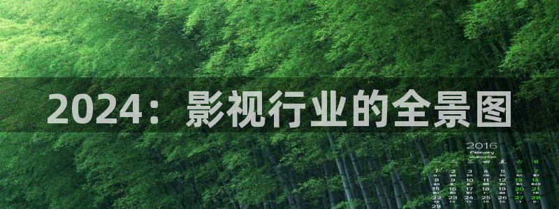 金牌影院2024年最新消息：2024：影视行业的全景图