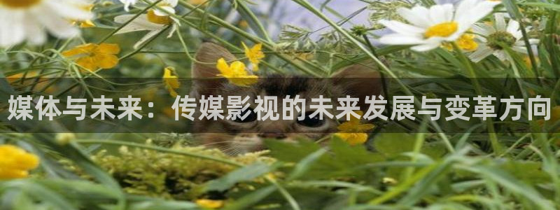 金牌 影院：媒体与未来：传媒影视的未来发展与变革方向