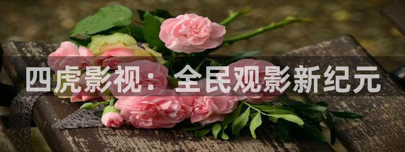 现在就出发第二季免费观看完整版金牌影院