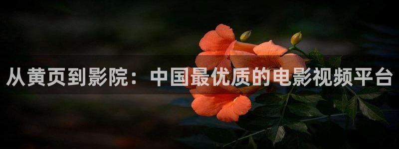 金牌女王电影完整版在线观看