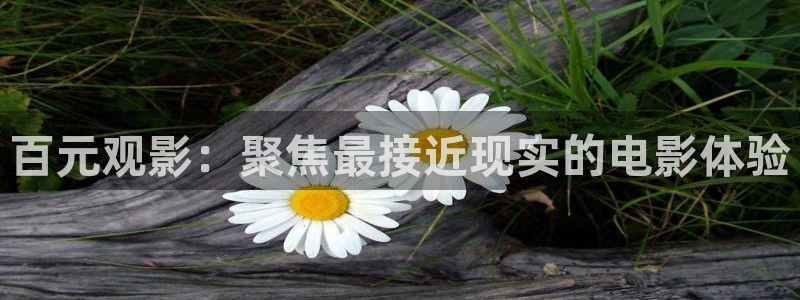 金牌影院免费：百元观影：聚焦最接近现实的电影体验