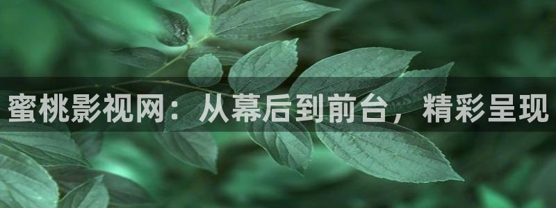 金牌影院伦理：蜜桃影视网：从幕后到前台，精彩呈现