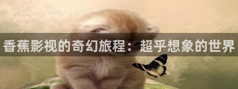 金牌销售电影