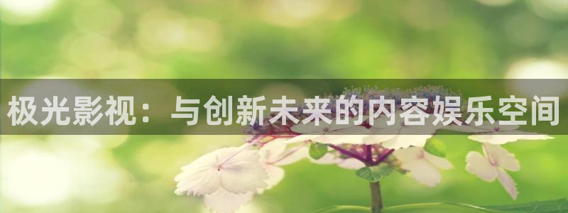 金牌影院电视
