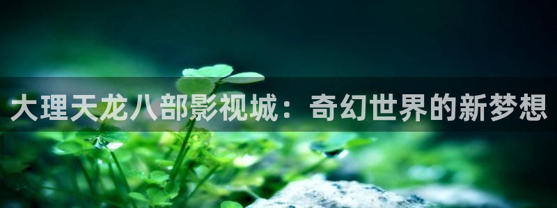 金牌影音