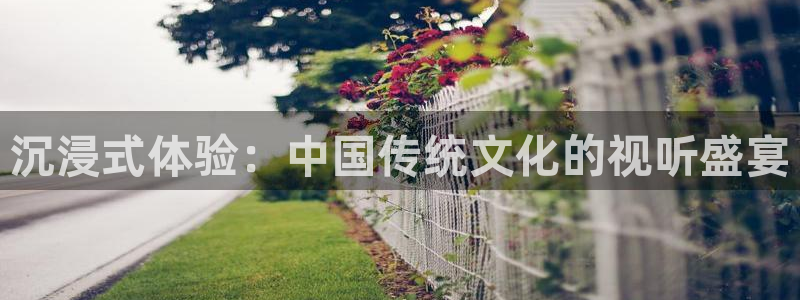 金牌影视网站